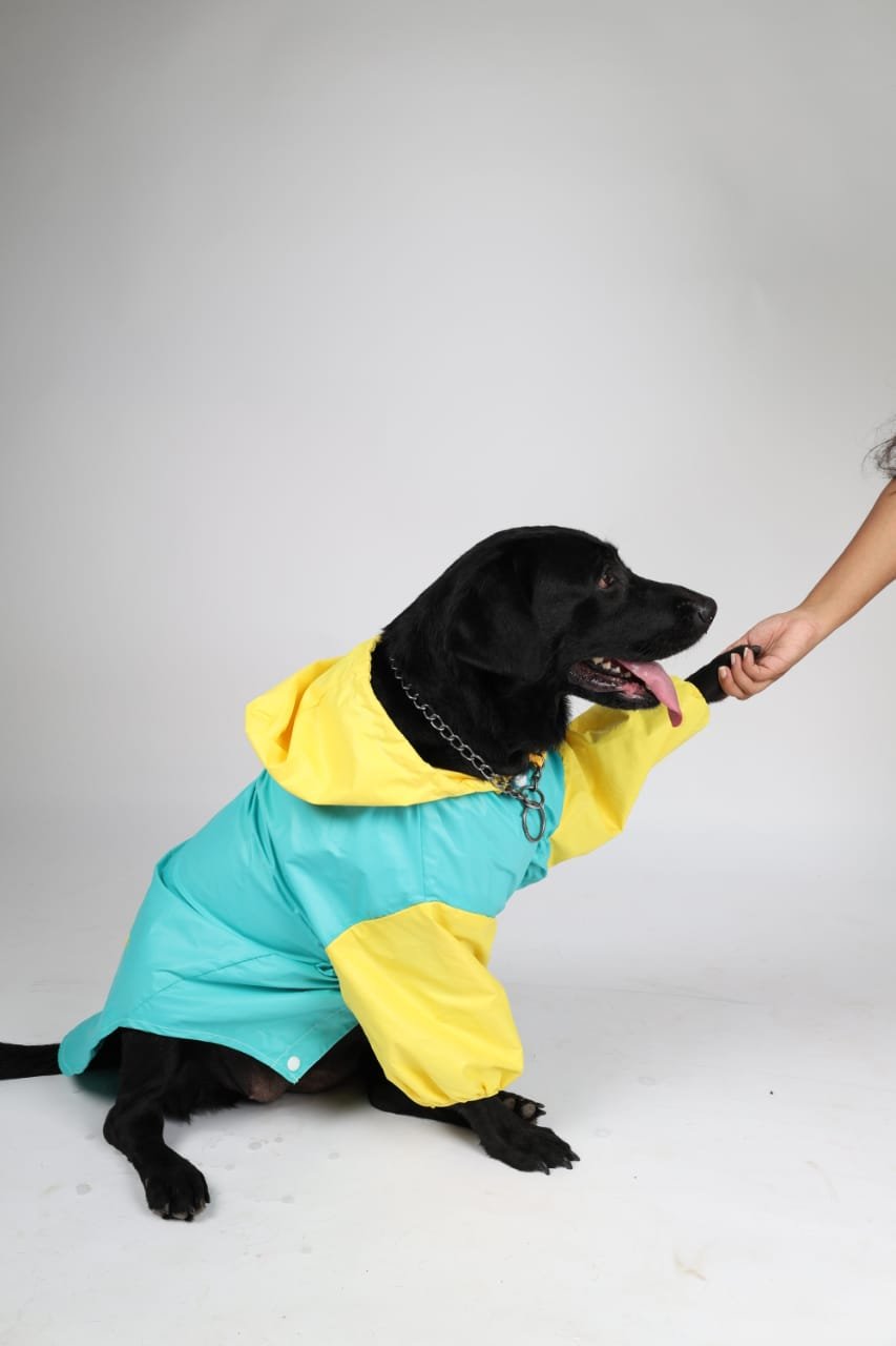 Labrador Rain Jacket 28 size